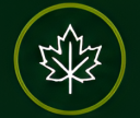 Cleanups-Icon